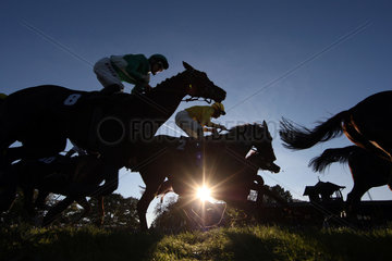 Dresden  Deutschland  Silhouette  Jockeys auf ihren Pferden bei Sonnenuntergang