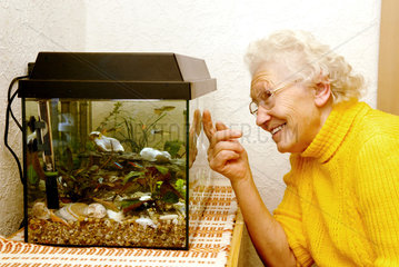 Nauen  eine alte Frau sieht in ein Aquarium