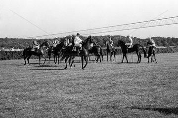 Hoppegarten  DDR  Pferde und Jockeys vor dem Start zu einem Galopprennen