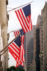New York  USA  amerikanische Flaggen