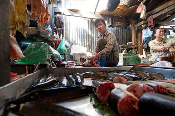 Phnom Penh  Kambodscha  Fischverkaeuferin auf einem Markt