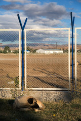 Ankara  Tuerkei - Hund liegt vor dem Zaun zu einem Gewerbegebiet