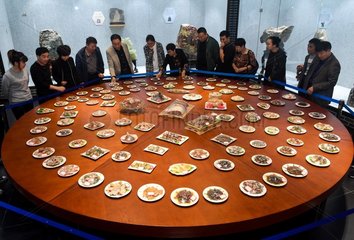 CHINA-JILIN-COLLECTOR-PRIVATE MUSEUM (CN)