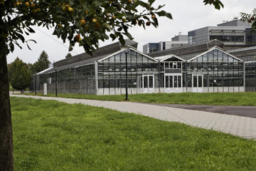 Max-Planck-Institut fuer Molekulare Pflanzenphysiologie