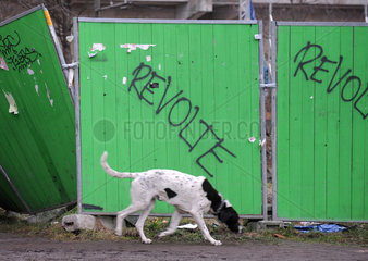 Berlin  Deutschland  ein Hund laeuft an einem Bauzaun mit der Aufschrift Revolte vorbei