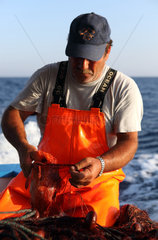 Alicudi  Italien  Fischer holt einen Fisch aus einem Netz