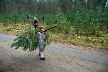 Gorin  Deutschland  Maedchen mit einem geschlagenen Weihnachtsbaum
