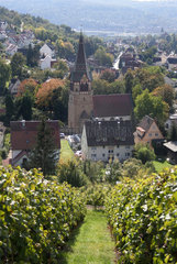 Stuttgart  Deutschland  Blick auf Uhlbach im Weinanbaugebiet