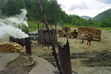Holzkohleherstellung im Bieszczady Gebirge  Polen