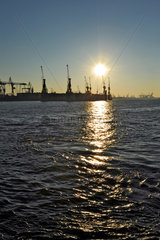 Hamburg  Deutschland  Blick auf die Blohm und Voss Werft im Hamburger Hafen