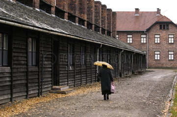 Verwaltungsbaracken im KZ Auschwitz