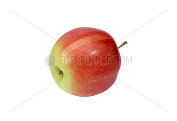 Ein Apfel  Sorte Jonagold