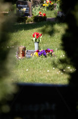 Eckernfoerde  Grabsteine auf einem Friedhof