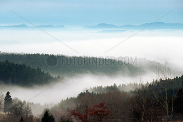 Landschaft im Schwarzwald mit Nebel bedeckt  Hoechenschwand  Deutschland