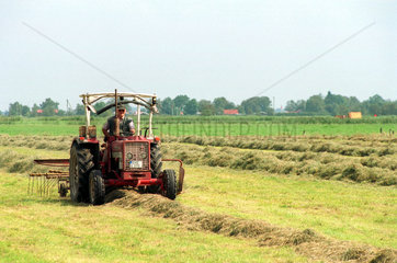 Emden  Landwirt wendet Heu mit seinem Traktor