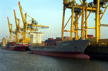 Containerschiffe und -bruecken im Hamburger Hafen