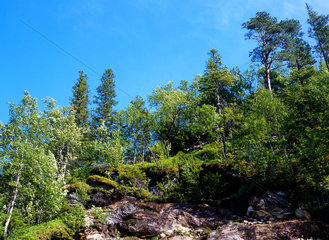 Salvikfjellet  Norwegen  Wasserfall