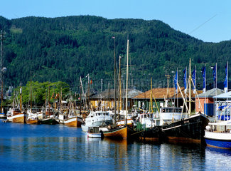 Trondheim  Norwegen  Fischerhafen