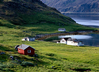 Skipsfjord  Norwegen  Haeuser in der Bucht