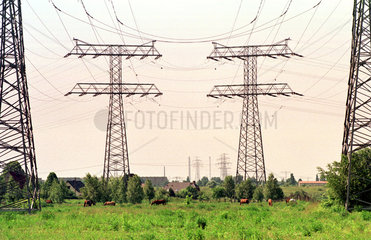 Viele Strommasten in Landschaft  Ahrensfelde bei Berlin  Deutschland