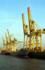 Containerschiffe und -bruecken im Hamburger Hafen