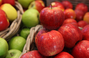Berlin  Deutschland  verschiedene Apfelsorten auf der Fruit Logistica