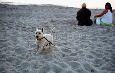 Markgrafenheide  zwei Frauen mit einem Hund am Strand