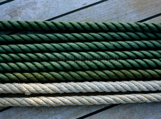 Warnemuende  Detailaufnahme von Seilen