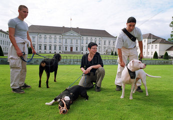 Gruppe mit spielenden Hunden vor Schloss Bellevue  Berlin  Deutschland