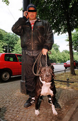 Junger Mann mit Handy und Pitbull  Berlin  Deutschland