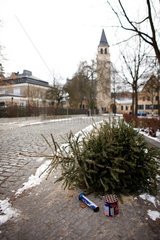 Berlin  Deutschland  Silvesterknaller und Tannenbaum
