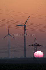 Windraeder vor Sonnenuntergang in Brandenburg