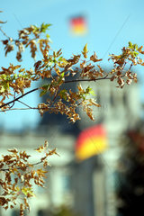 Herbstlaub und Fahnen des Reichstags in Berlin