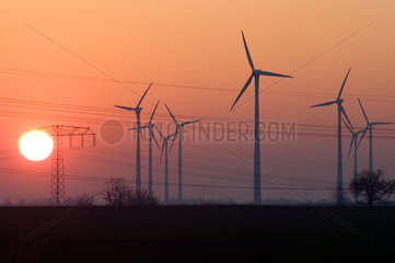 Windraeder vor Sonnenuntergang in Brandenburg