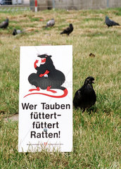 Wien  Oesterreich  Schild: -Wer Tauben fuettert  fuettert Ratten-