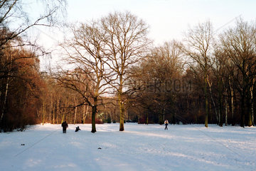 Berlin  Deutschland  schneebedeckte Wiesen im Tiergarten