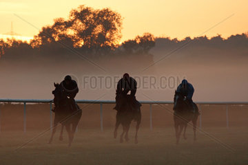 Iffezheim  Reiter und Pferde beim Ausritt am Morgen im Nebel