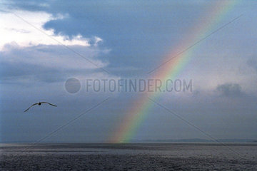 Regenbogen und Moeve an der Ostseekueste