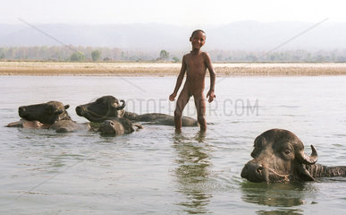 Junge posiert auf einem Bueffel im Wasser in Nepal