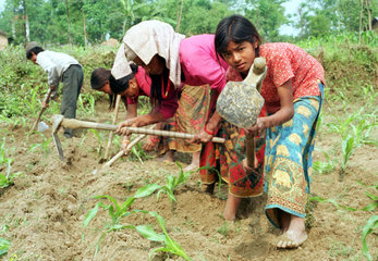 Maedchen und Frauen arbeiten auf einem Feld in Nepal