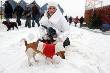 Spaziergaengerin mit angezogenem Hund im Schnee
