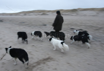 Spaziergaenger mit Hunden am Strand auf Sylt