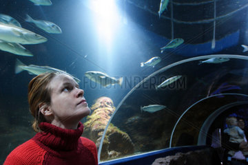 Junge Frau beobachtet Fische im Aquarium auf Sylt