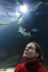 Junge Frau beobachtet Fische im Aquarium auf Sylt