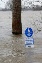 Hochwasser an der Elbe: Schild mit Eule im Wasser