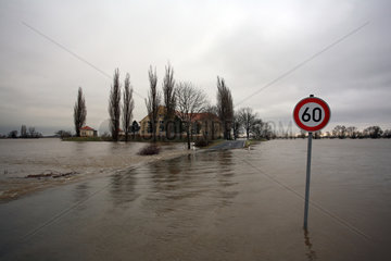 Hochwasser der Elbe: Ueberflutete Strasse zum Faehranleger