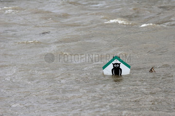 Hochwasser an der Elbe: Schild mit Eule im Wasser