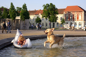 Hund und Kind im Brunnen auf dem Luisenplatz in Potsdam