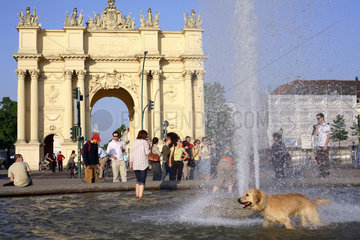Hund im Brunnen auf dem Luisenplatz vor Brandenburger Tor in Potsdam