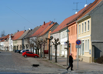 Wohnhaeuser an Dorfstrasse in Brandenburg
